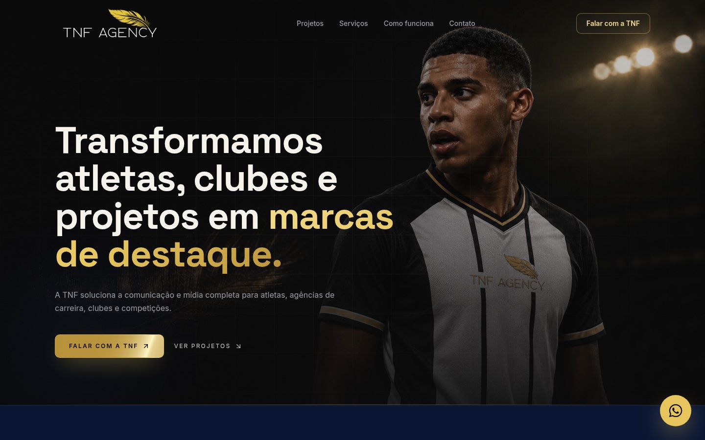TNF Agency, Web Design